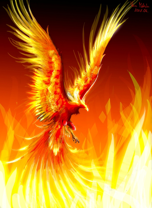 fenix4